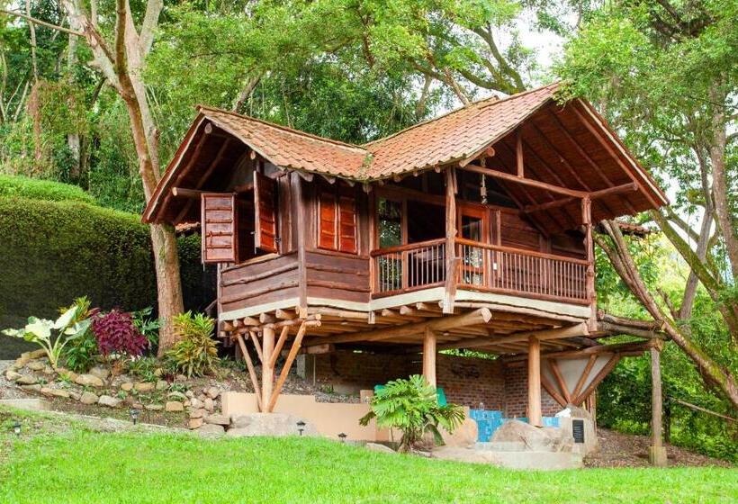 シャレー1寝室, Nana