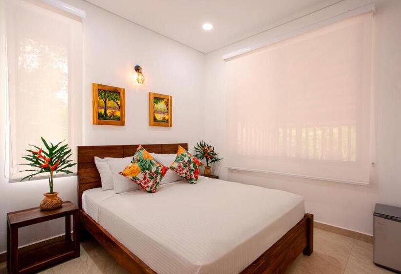 ファミリーステューディオ, Nana