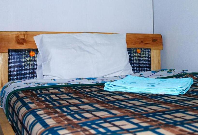 اتاق اکونومی یک تخته, Santaviva