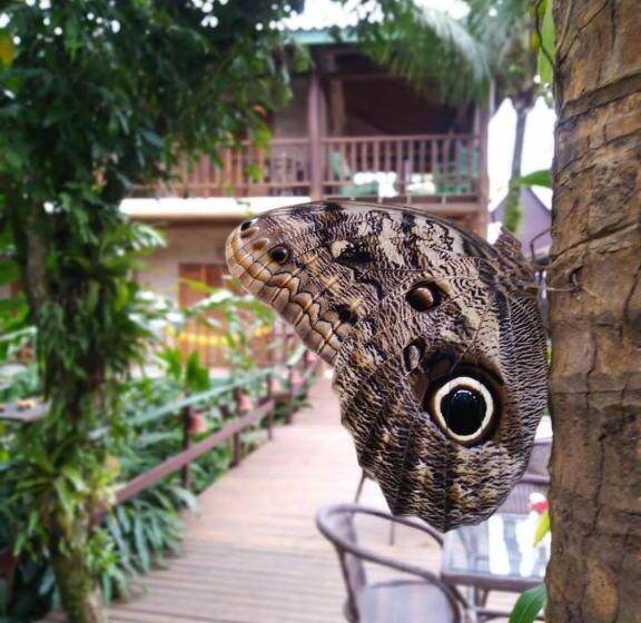 家庭工作室, Pousada Maná