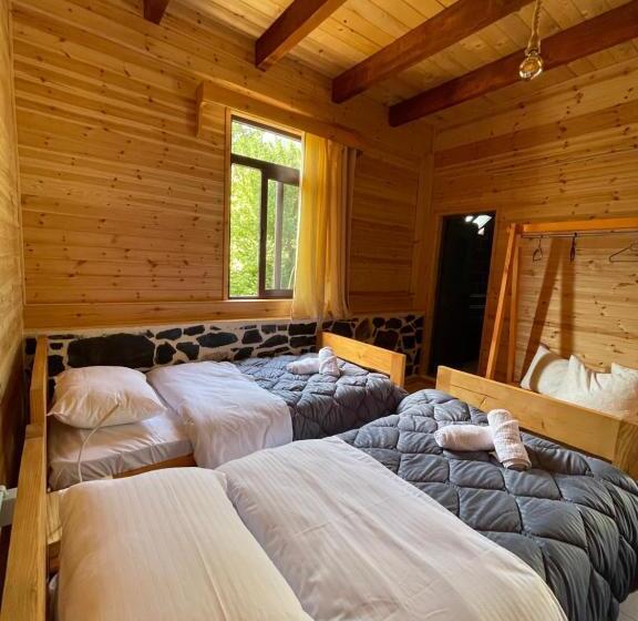 标准三人间, Royal Land