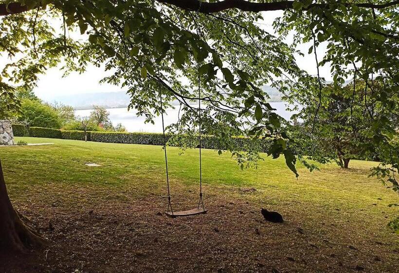 标准间带湖景, The Lake House