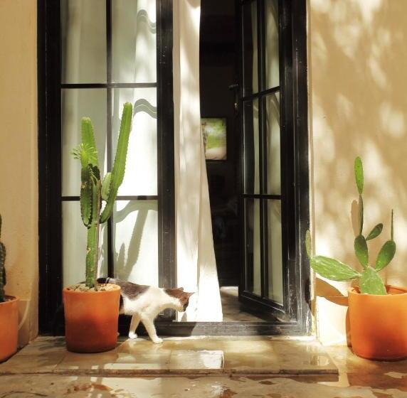 آپارتمان 1 خوابه با تراس, Fixie Lofts Slow Life Villa