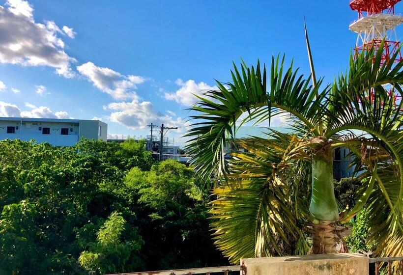 스탠다드 룸, Happy Island Miyako