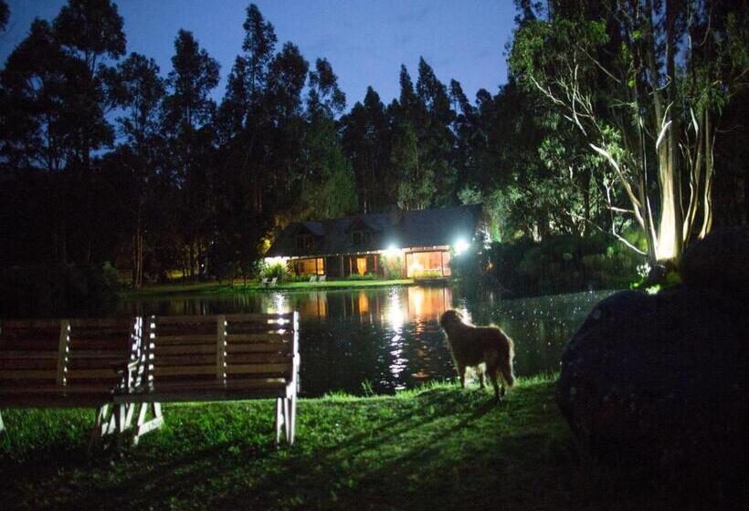 Вилла Superior 1 Спальня, Palumbo Glamping & Villas