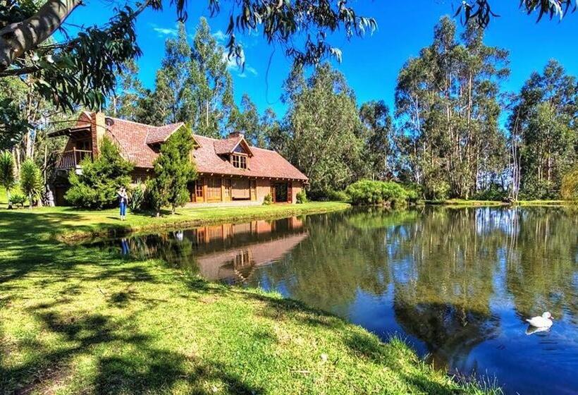 1침실 수피리어 빌라, Palumbo Glamping & Villas