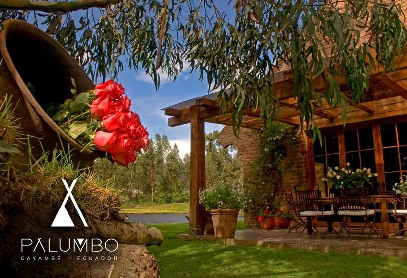 Вилла 3 Спальни, Palumbo Glamping & Villas