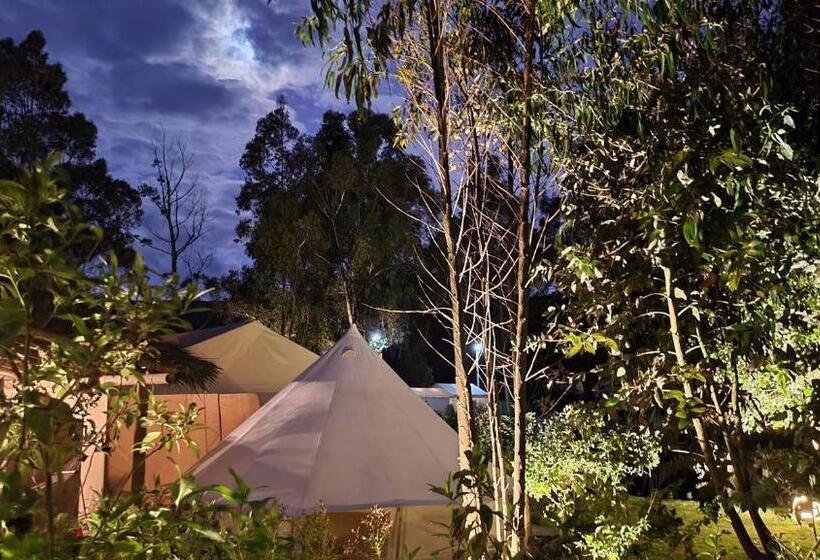 Standard Tent, Palumbo Glamping & Villas