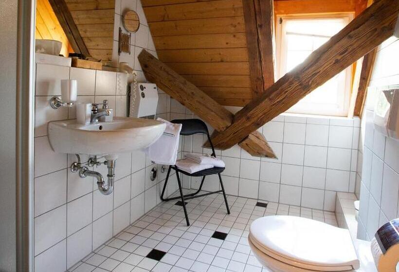 디럭스 룸, Gutshof Hotel Waldknechtshof