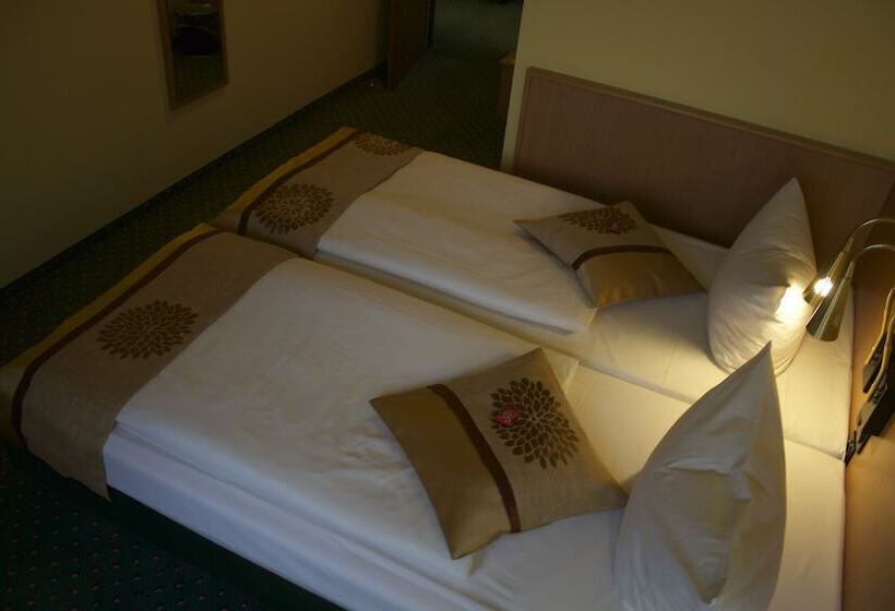 Номер Стандарт Индивидуальный, Acron Hotel Wittenberg