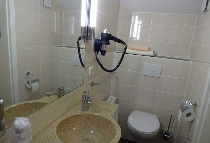 Номер Стандарт Индивидуальный, Gasthof Hotel Zum Ross