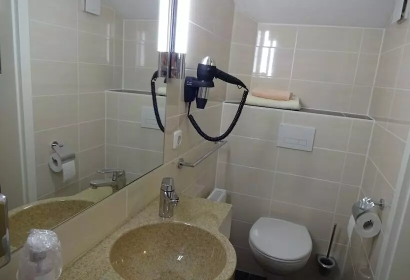 Standard Yhden Hengen Huone, Gasthof Hotel Zum Ross