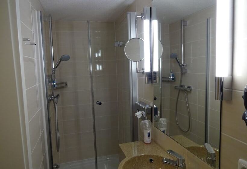 Номер Стандарт Индивидуальный, Gasthof Hotel Zum Ross