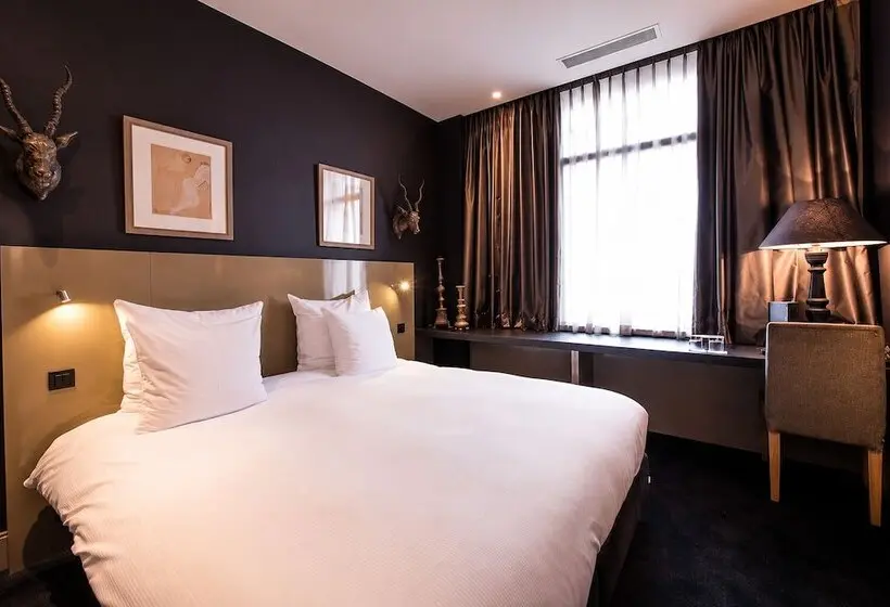Chambre Standard, Les Nuits