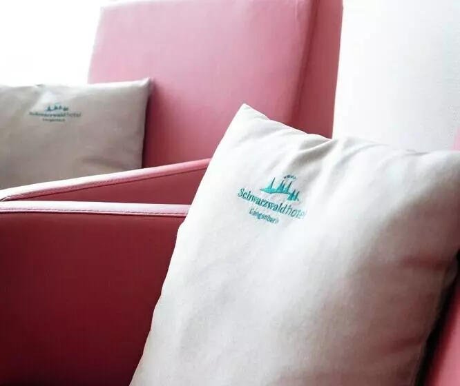 Comfort Yhden Hengen Huone, Schwarzwaldhotel Gengenbach