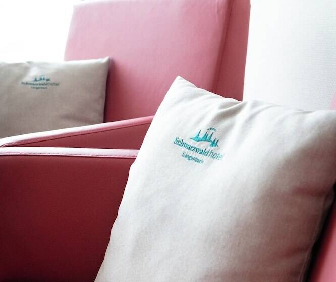 Quarto Comfort Individual, Schwarzwaldhotel Gengenbach