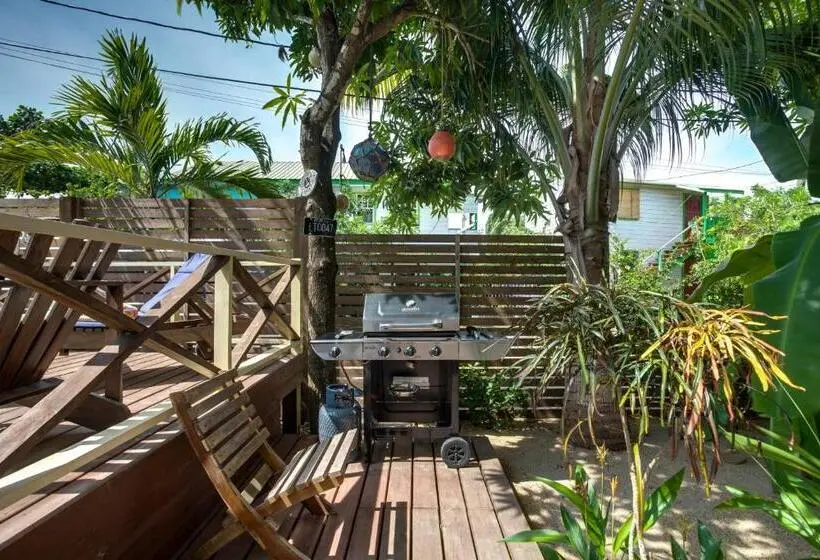 スタンダードスタジオ, Driftwood Gardens Guesthouse