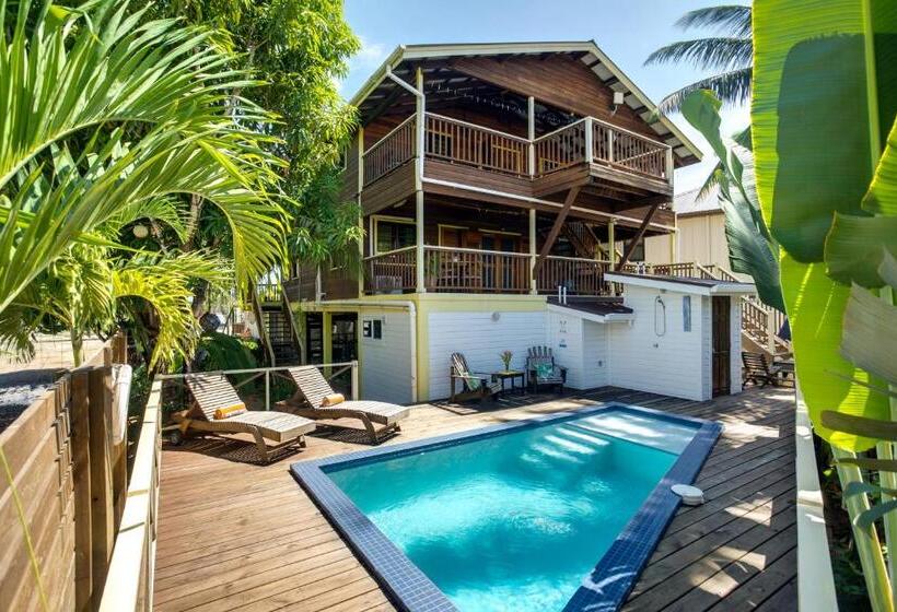 דירת חדר עם טרסה, Driftwood Gardens Guesthouse