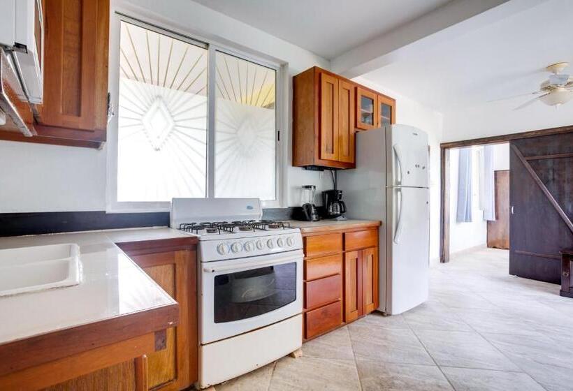 דירת חדר עם טרסה, Driftwood Gardens Guesthouse