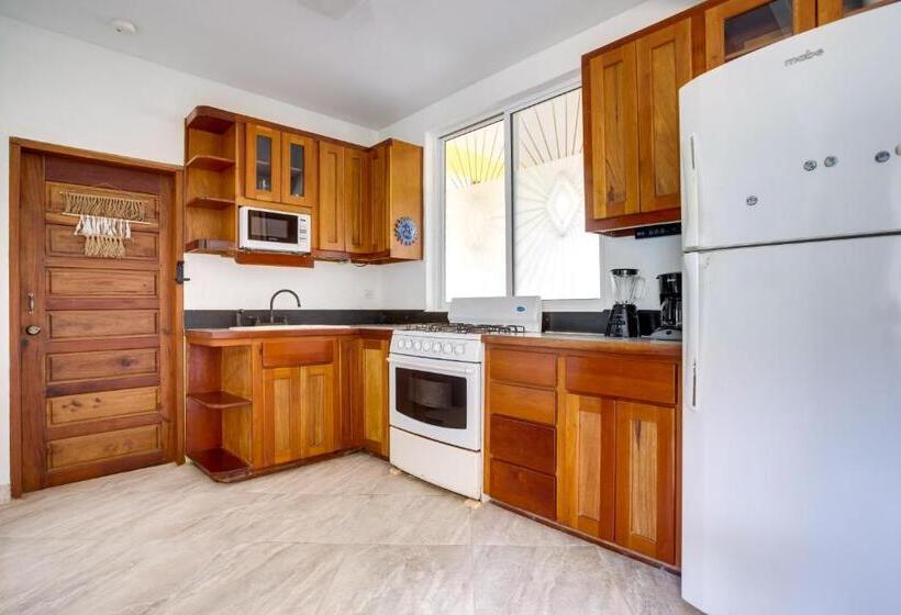 דירת חדר עם טרסה, Driftwood Gardens Guesthouse