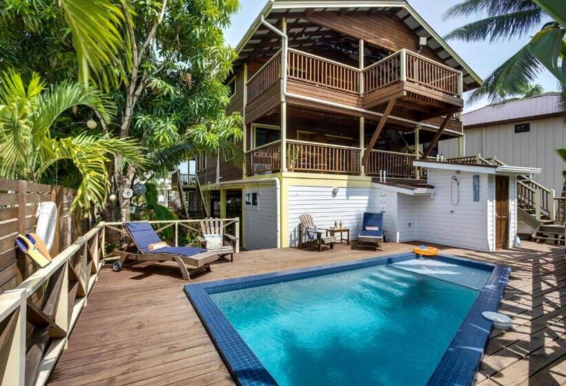 Апартаменты 1 Спальня с Террасой, Driftwood Gardens Guesthouse