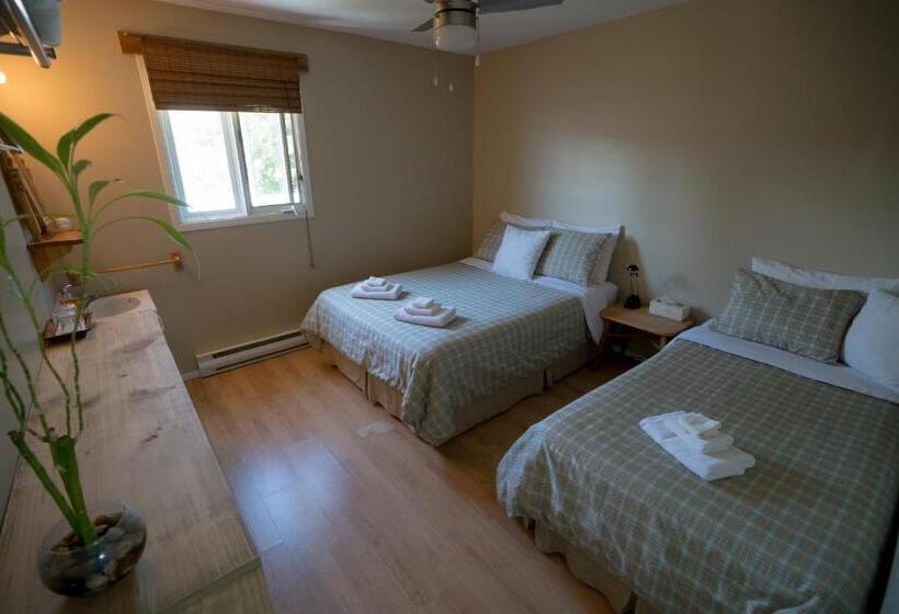 غرفة قياسية سرير مزدوج, Le Goéland