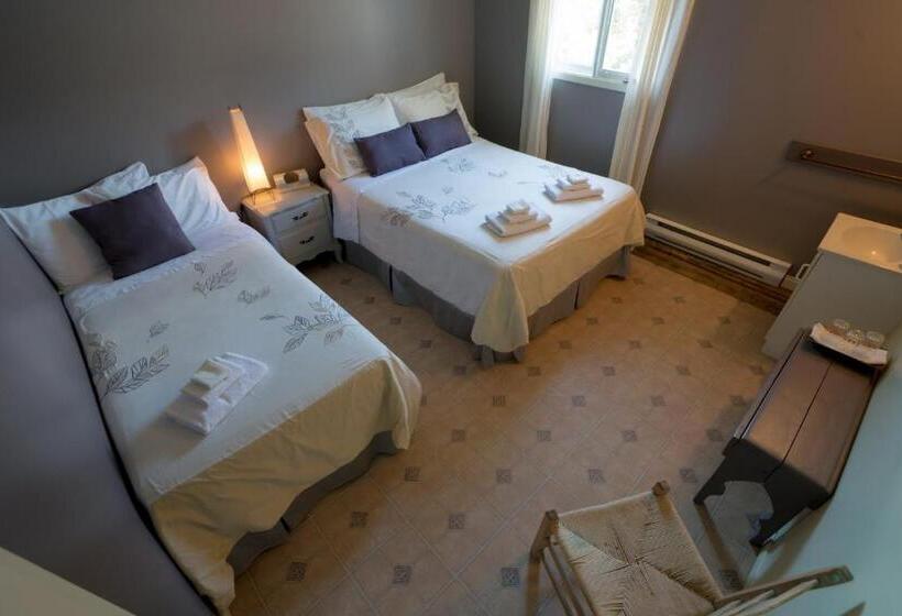 غرفة قياسية سرير مزدوج, Le Goéland