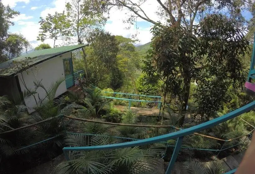マウンテンビュースタンダードルーム, Waterfall El Paraíso Cabañas, Jacuzzi, Piscina Y Cascada En Medio De La Naturaleza
