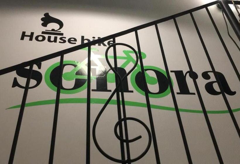 Номер Стандарт Вид на Горы, House Bike Sonora