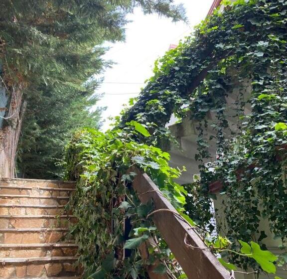 آپارتمان 1 خوابه, The Olives Terrace Residences