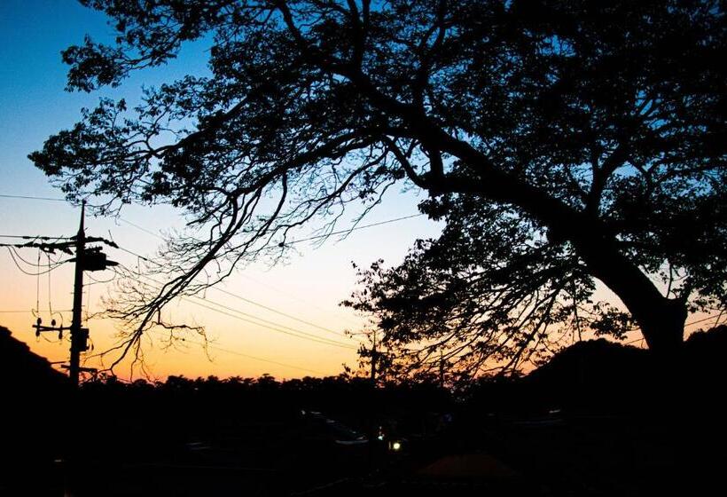 バス共有のスタンダードルーム, 50歳以下限定   チェックイン15 18時のみ可能      出雲大社 徒歩5分   Hareilo Sevens Hostel