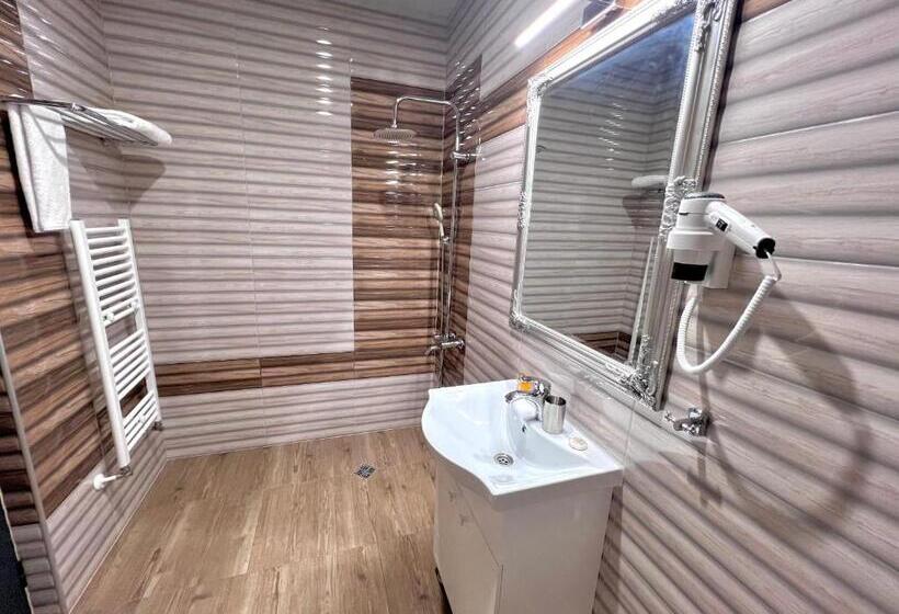 シングルデラックスルーム, хотел антик