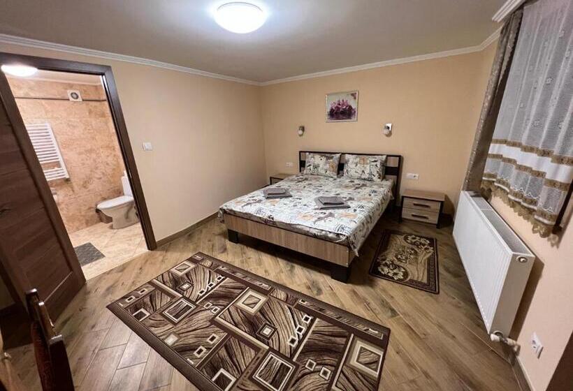 غرفة قياسية, Villa Magda