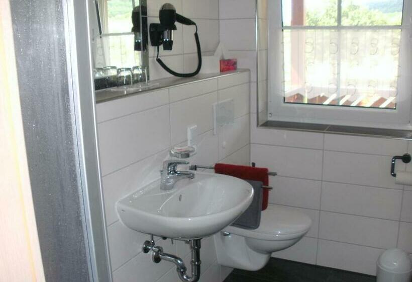 스탠다드 싱글 룸, Pension Zur Traube 3 Sterne