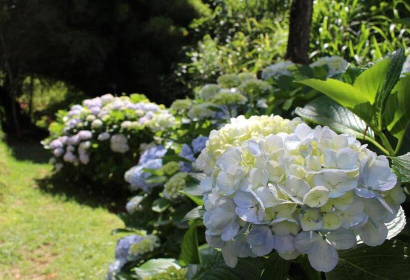 可观山景的小型套房, Pousada Vilarejo Das Oliveiras