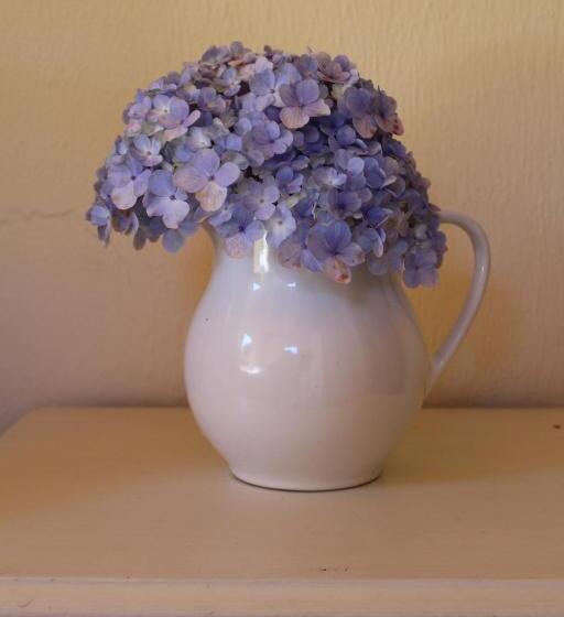 可观山景的小型套房, Pousada Vilarejo Das Oliveiras