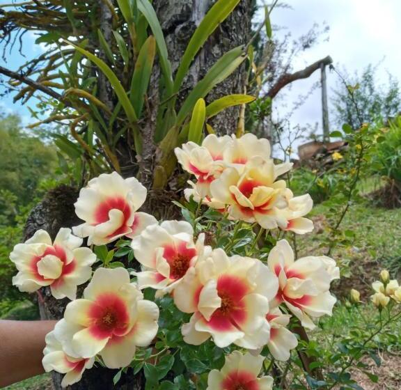 一居室别墅, Pousada Vilarejo Das Oliveiras