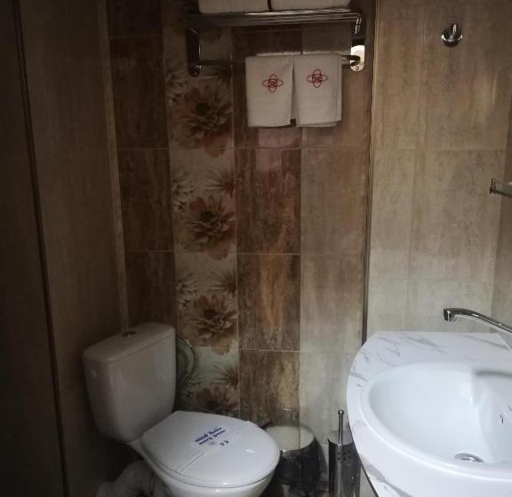 スタンダードシングルルーム, Balneo And Spa Complex Mineral Yagoda