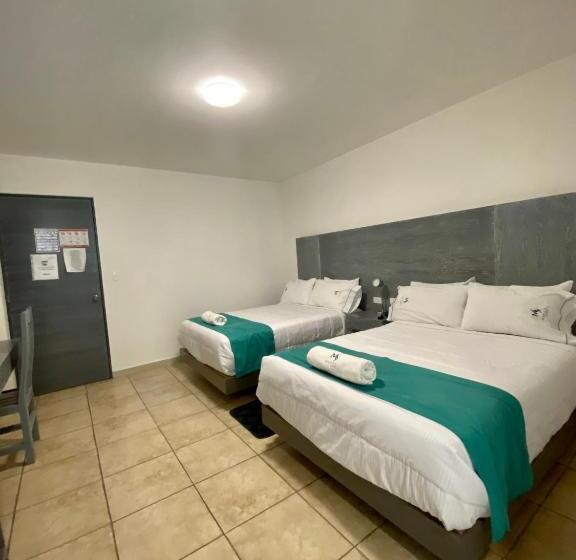 غرفة ديلوكس, Maria Sofia Viacapu