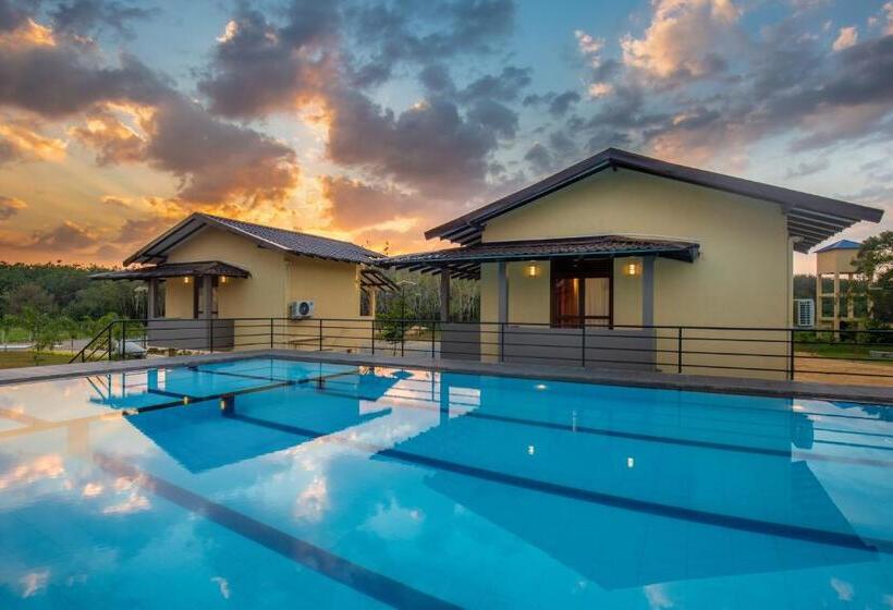 Mini Suite, Sense Pavillion