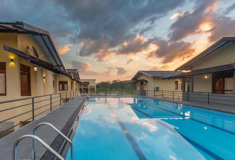 Президентский Люкс, Sense Pavillion