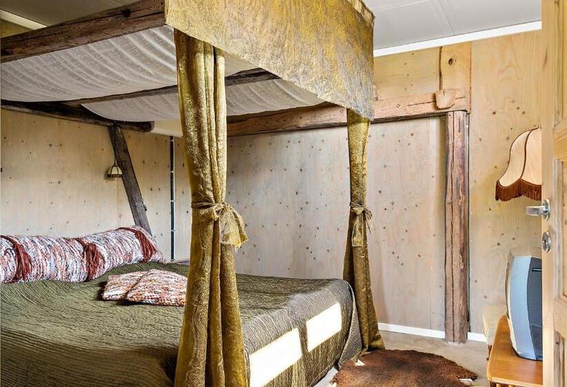 Quarto Estandar, Bitterna åkatorp