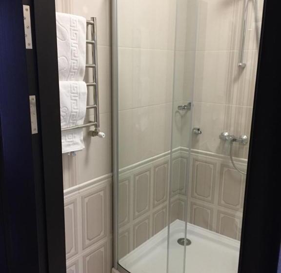 スタンダードルーム, Dvir Litynskyi