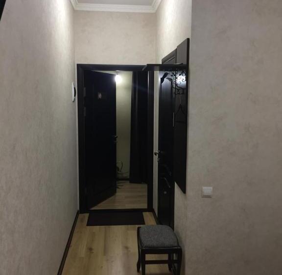 スタンダードルーム, Dvir Litynskyi