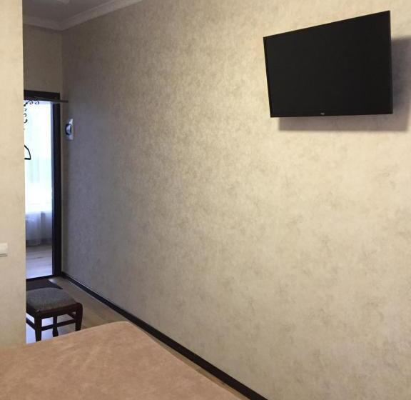 スタンダードルーム, Dvir Litynskyi