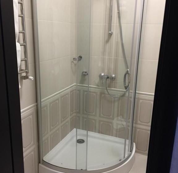 スタンダードルーム, Dvir Litynskyi