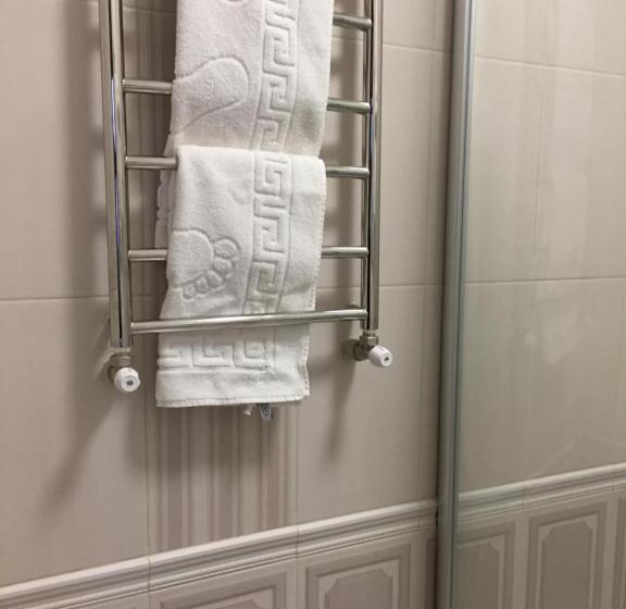 スタンダードルーム, Dvir Litynskyi