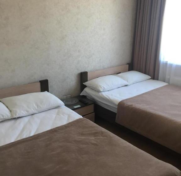 スタンダードルーム, Dvir Litynskyi