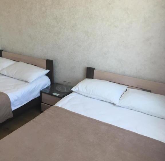 スタンダードルーム, Dvir Litynskyi