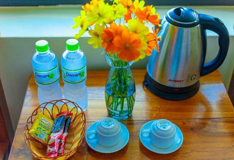 اتاق سوپریور خانوادگی, Lucky Homes